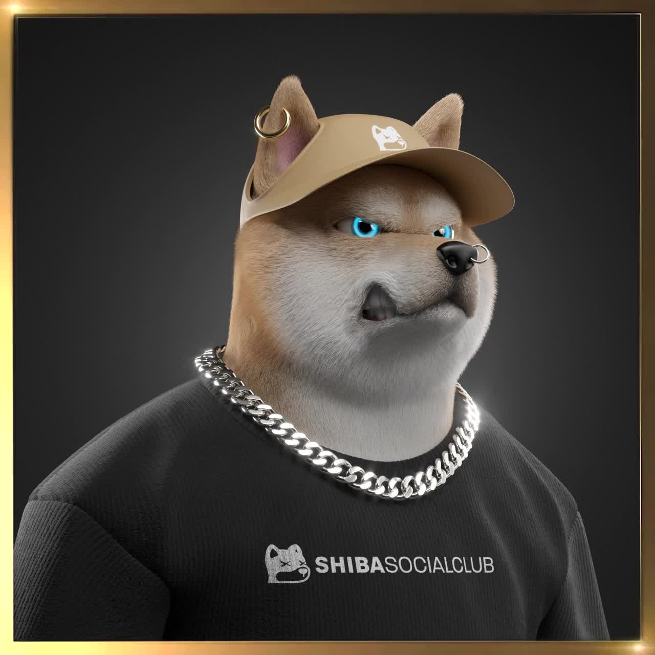 Shiba #7685