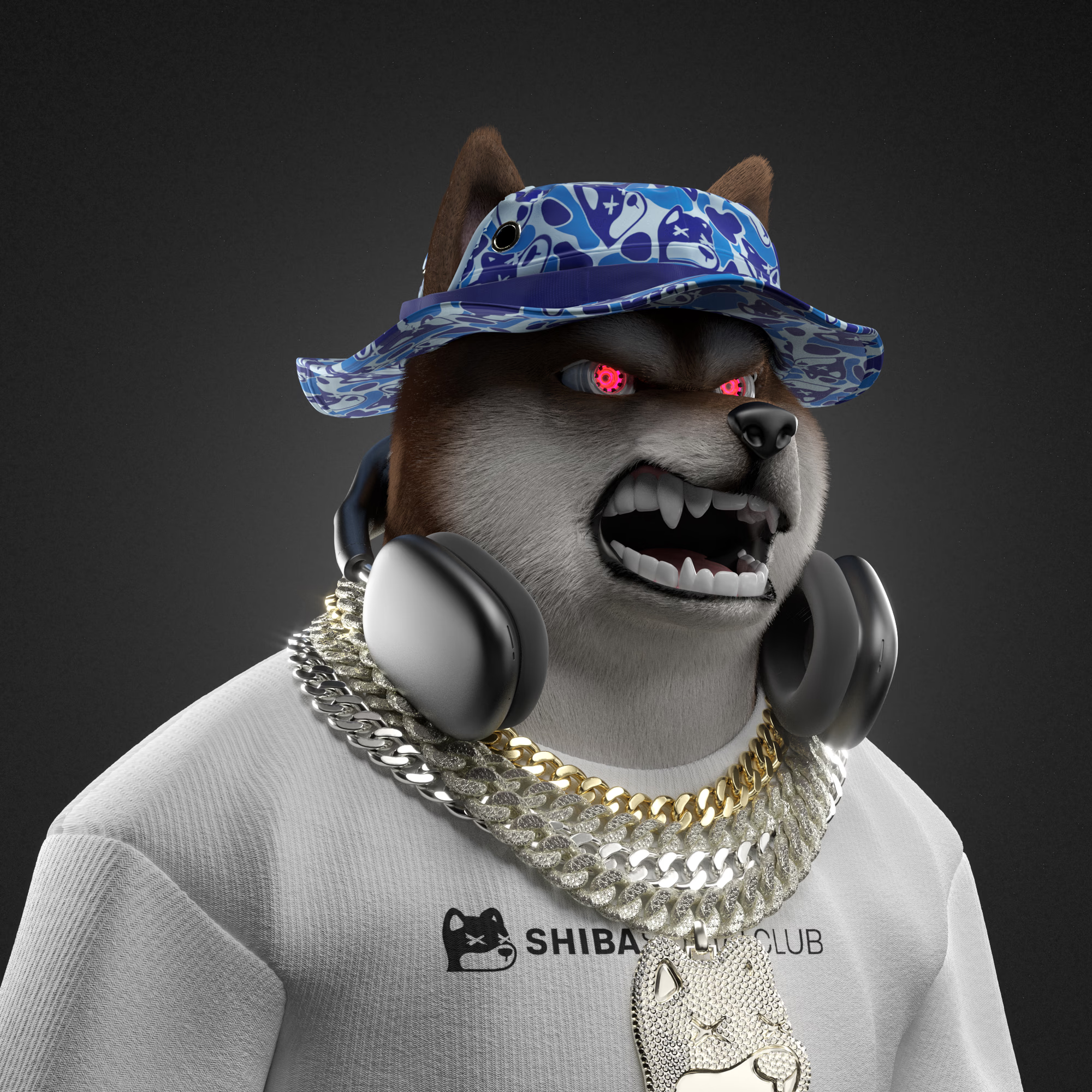 Shiba #6542