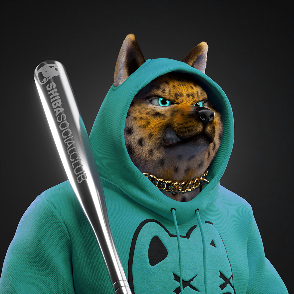 Shiba Pinnacle #1
