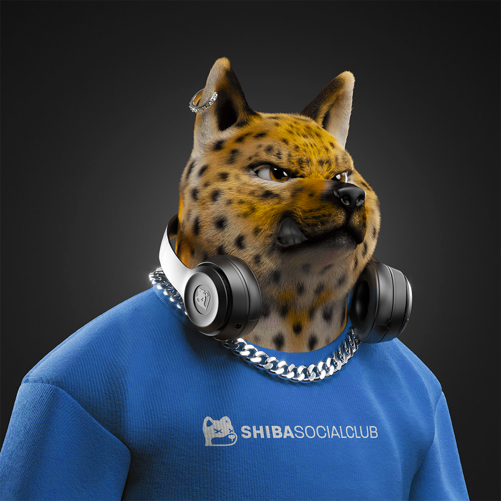 Shiba Pinnacle #2