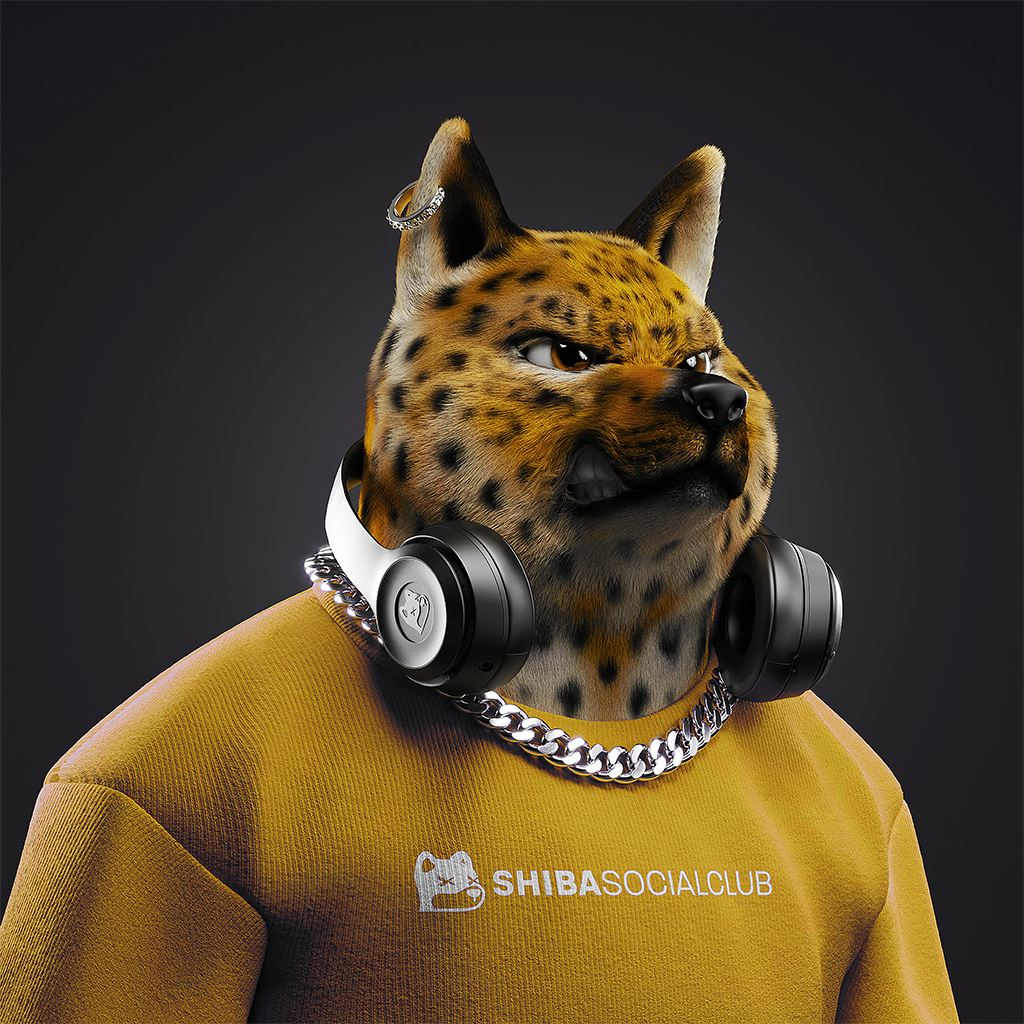 Shiba Pinnacle #7
