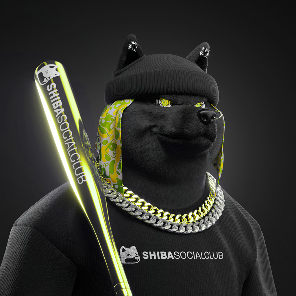 Shiba Pinnacle #8