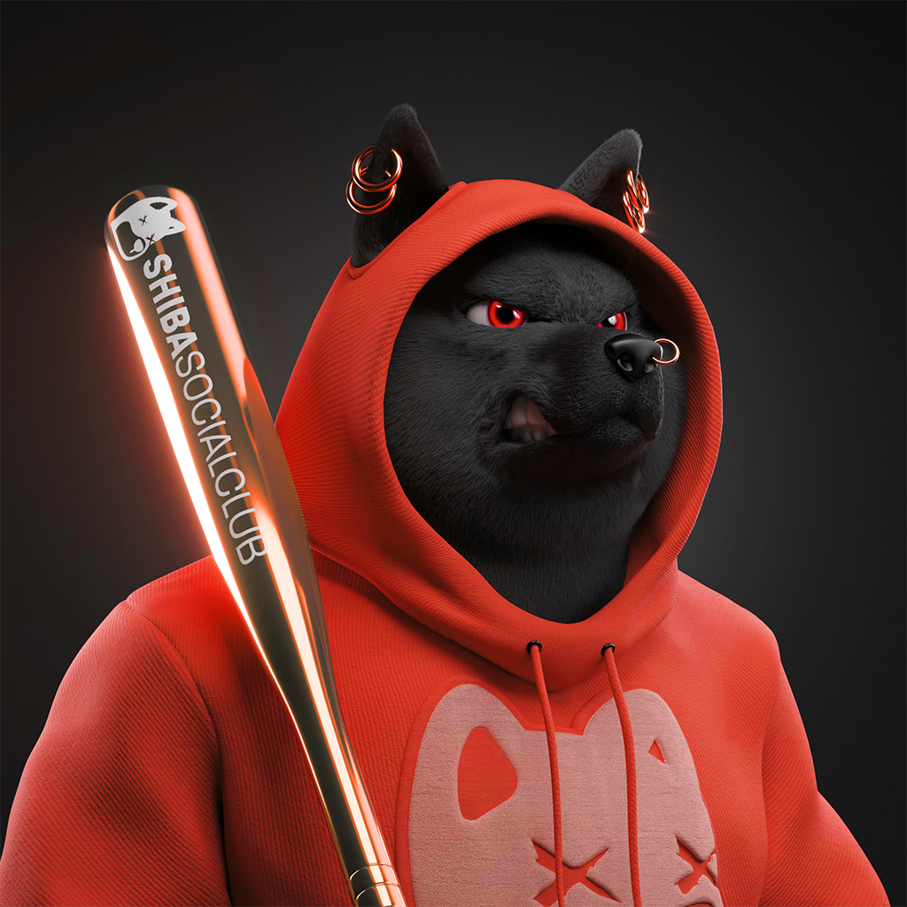 Shiba Pinnacle #9