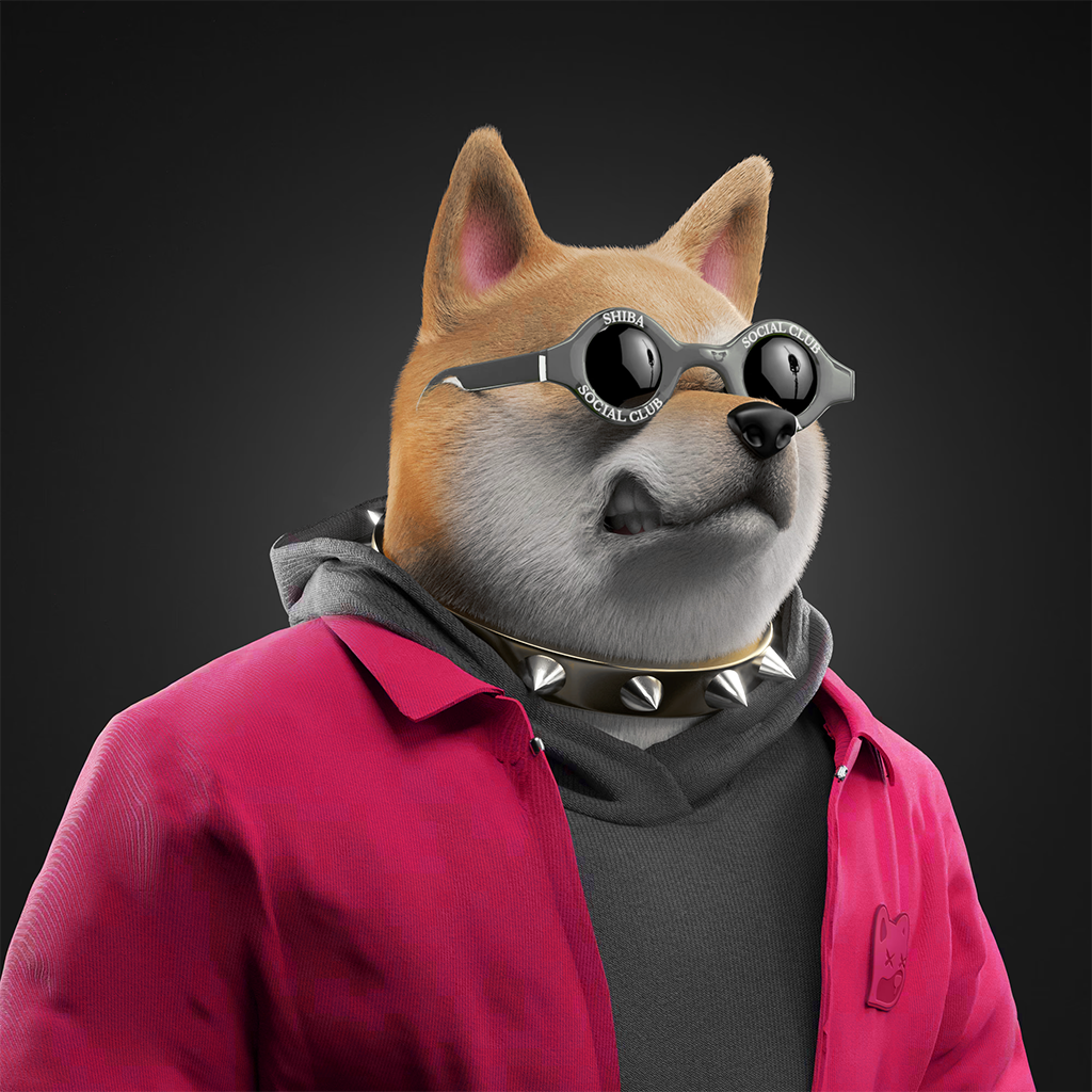 Shiba Pinnacle #13