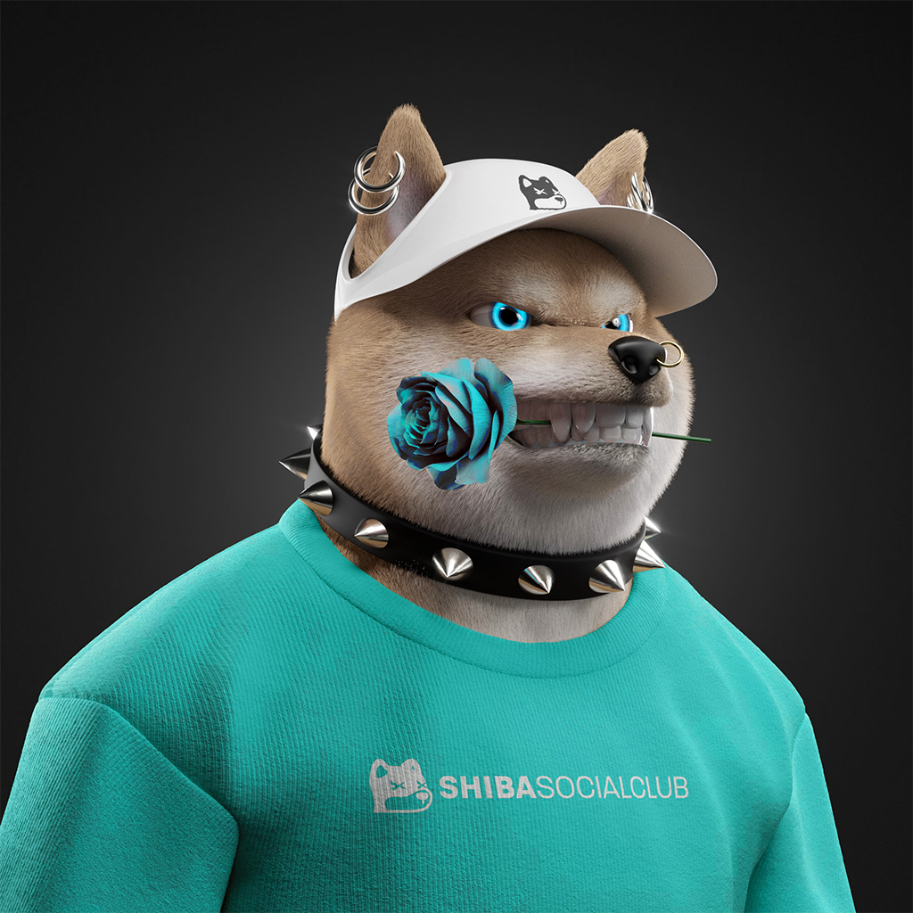 Shiba Pinnacle #14