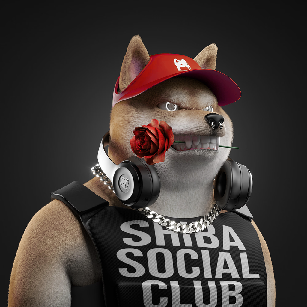 Shiba Pinnacle #16