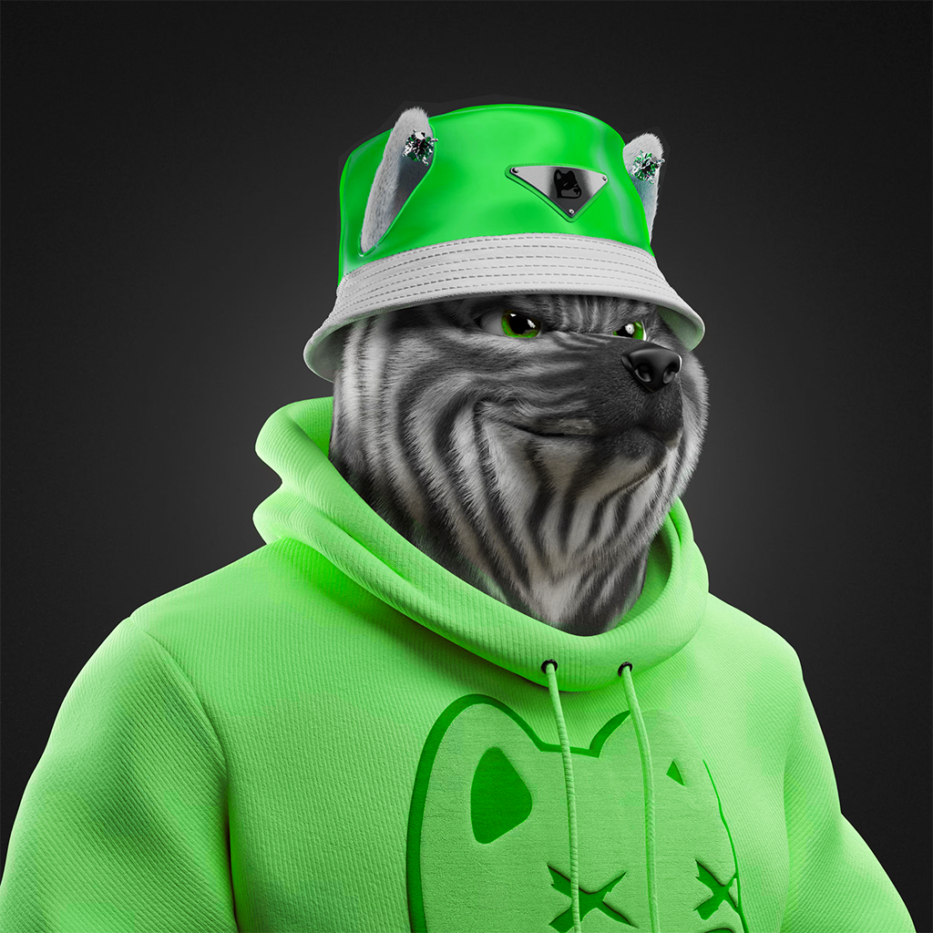 Shiba Pinnacle #17