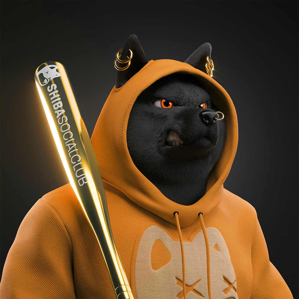 Shiba Pinnacle #19