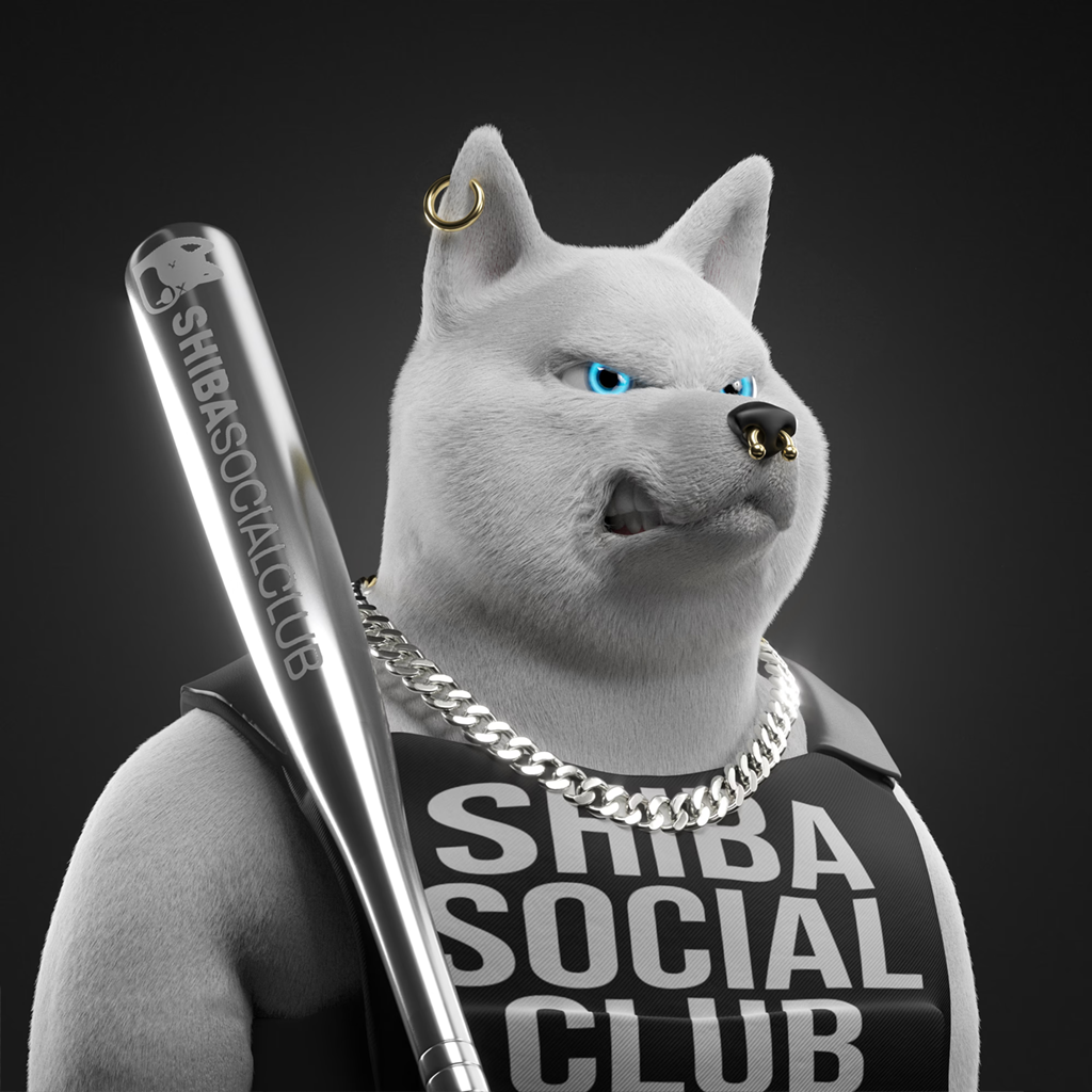 Shiba Pinnacle #20