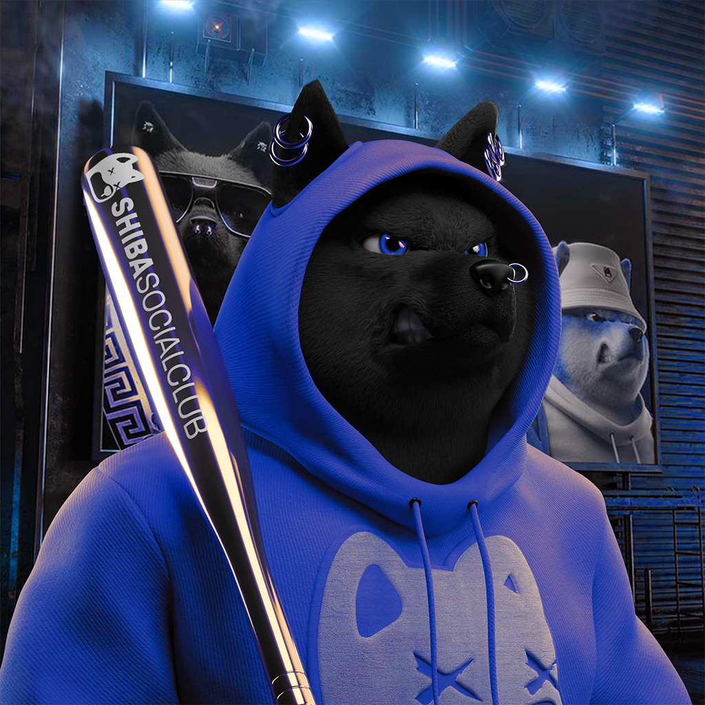 Shiba Pinnacle #23