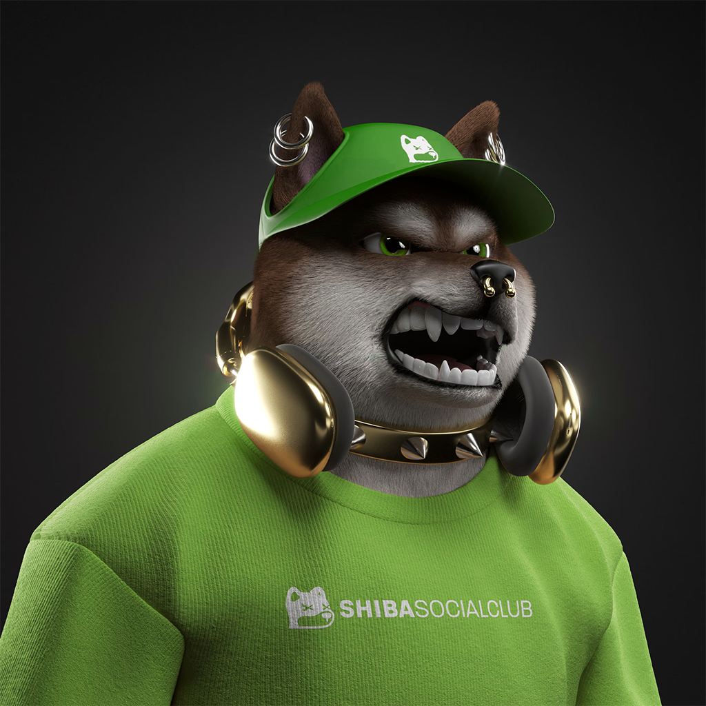Shiba Pinnacle #24