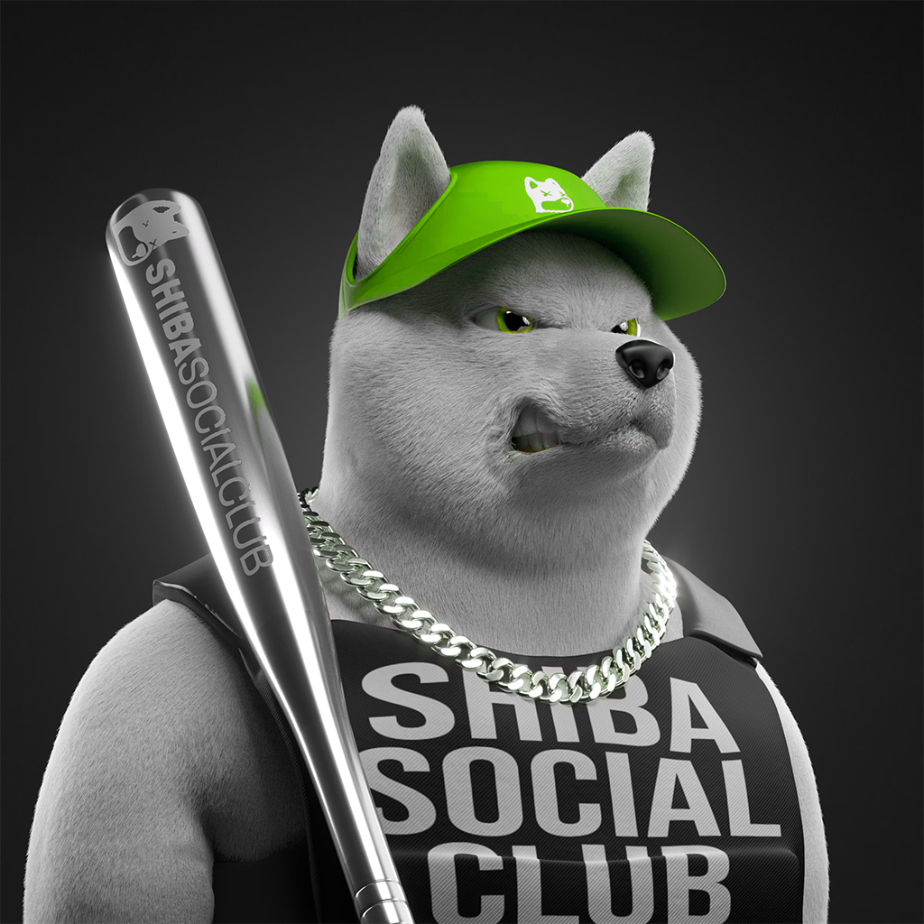 Shiba Pinnacle #29