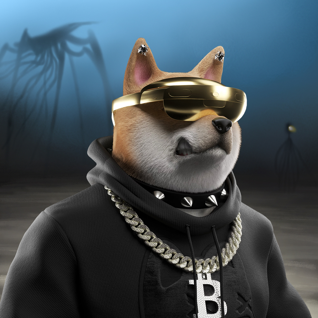 Shiba Pinnacle #30