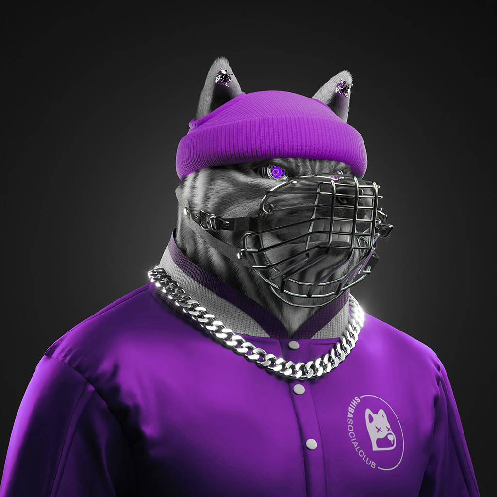 Shiba Pinnacle #31