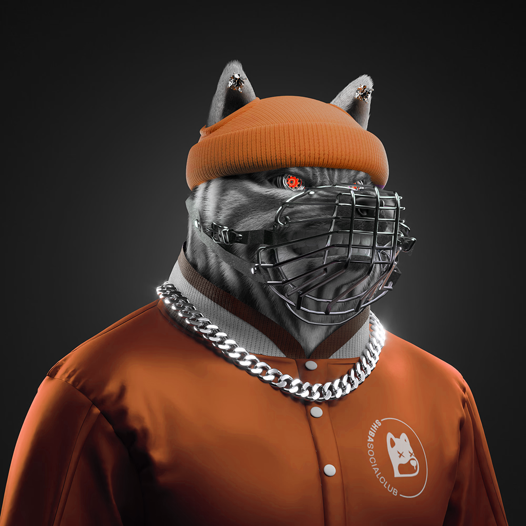 Shiba Pinnacle #32