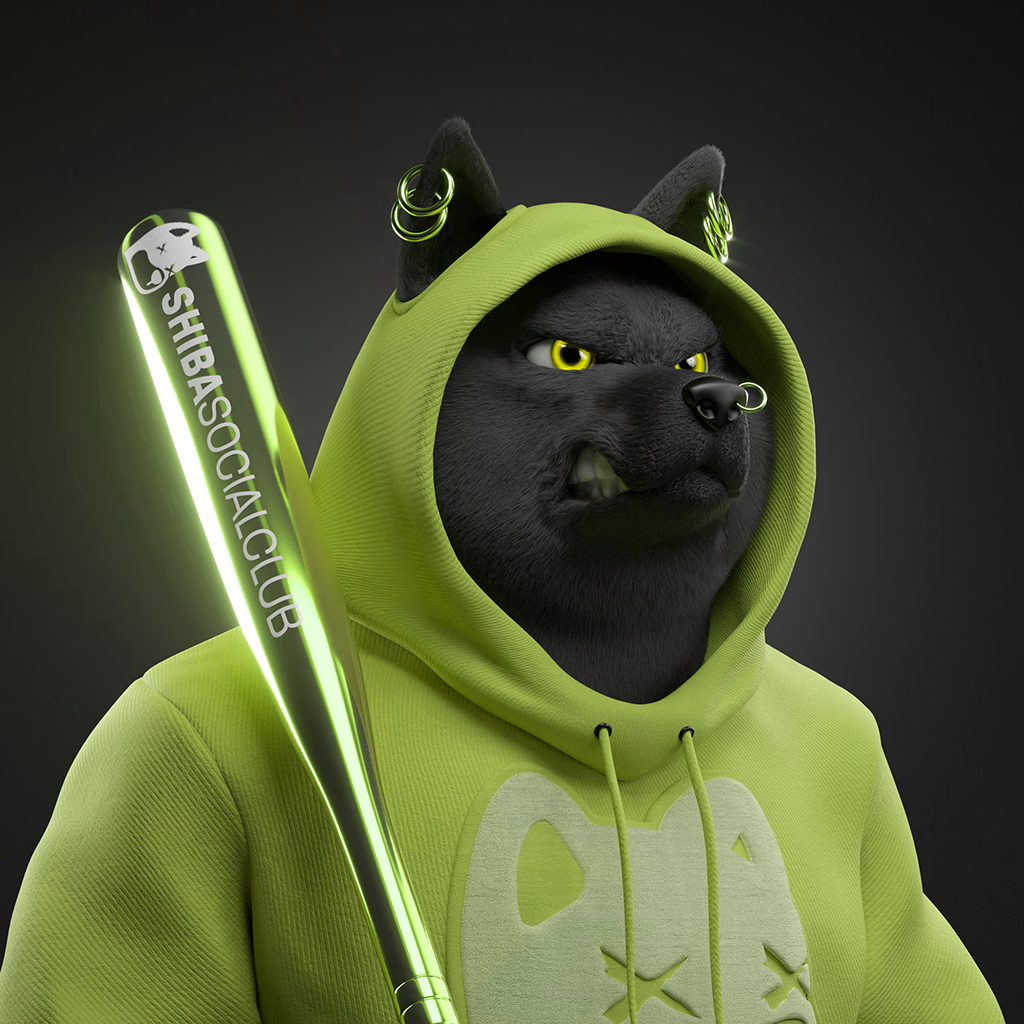 Shiba Pinnacle #33
