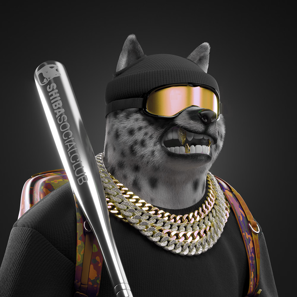 Shiba Pinnacle #35