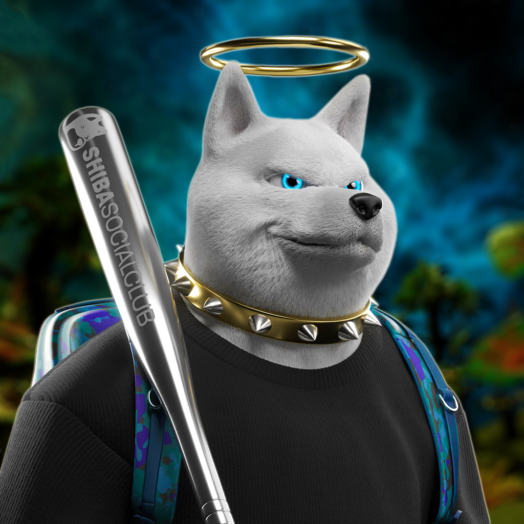 Shiba Pinnacle #41