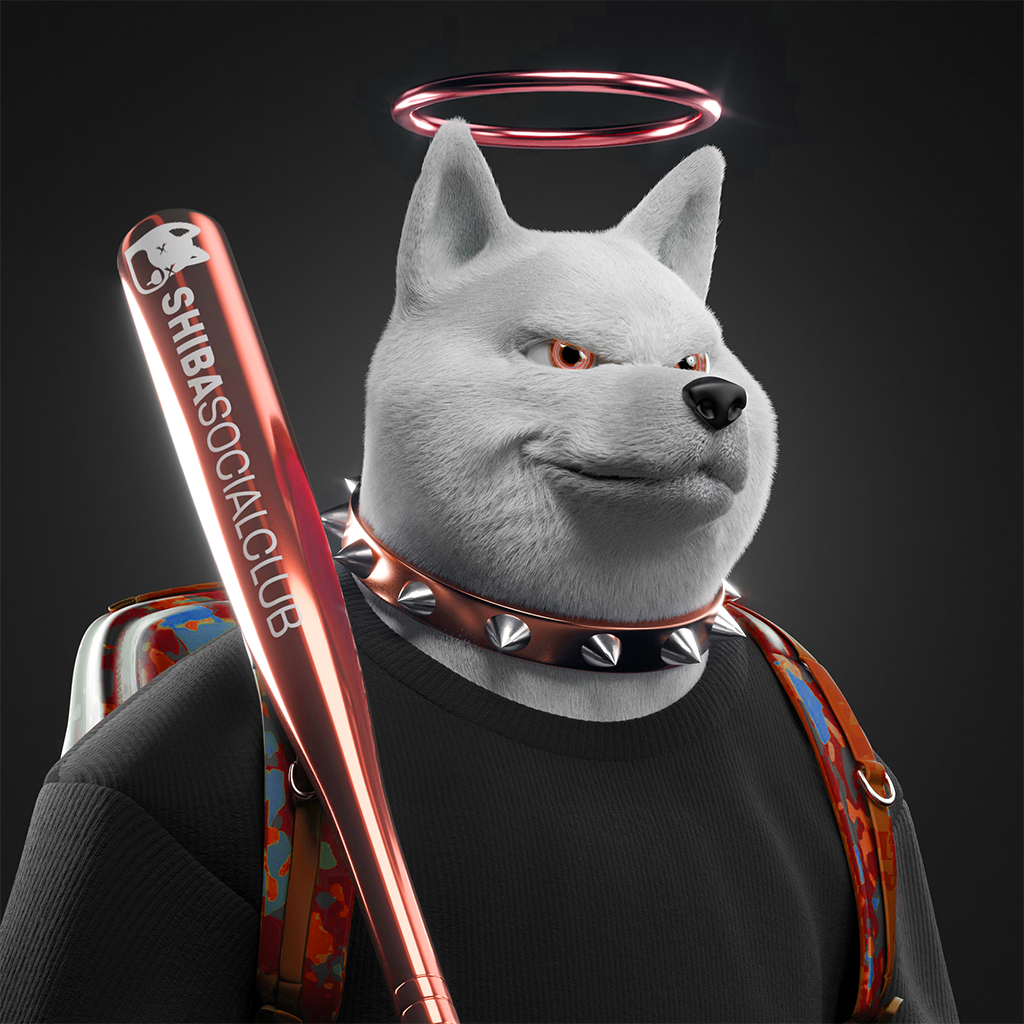 Shiba Pinnacle #55