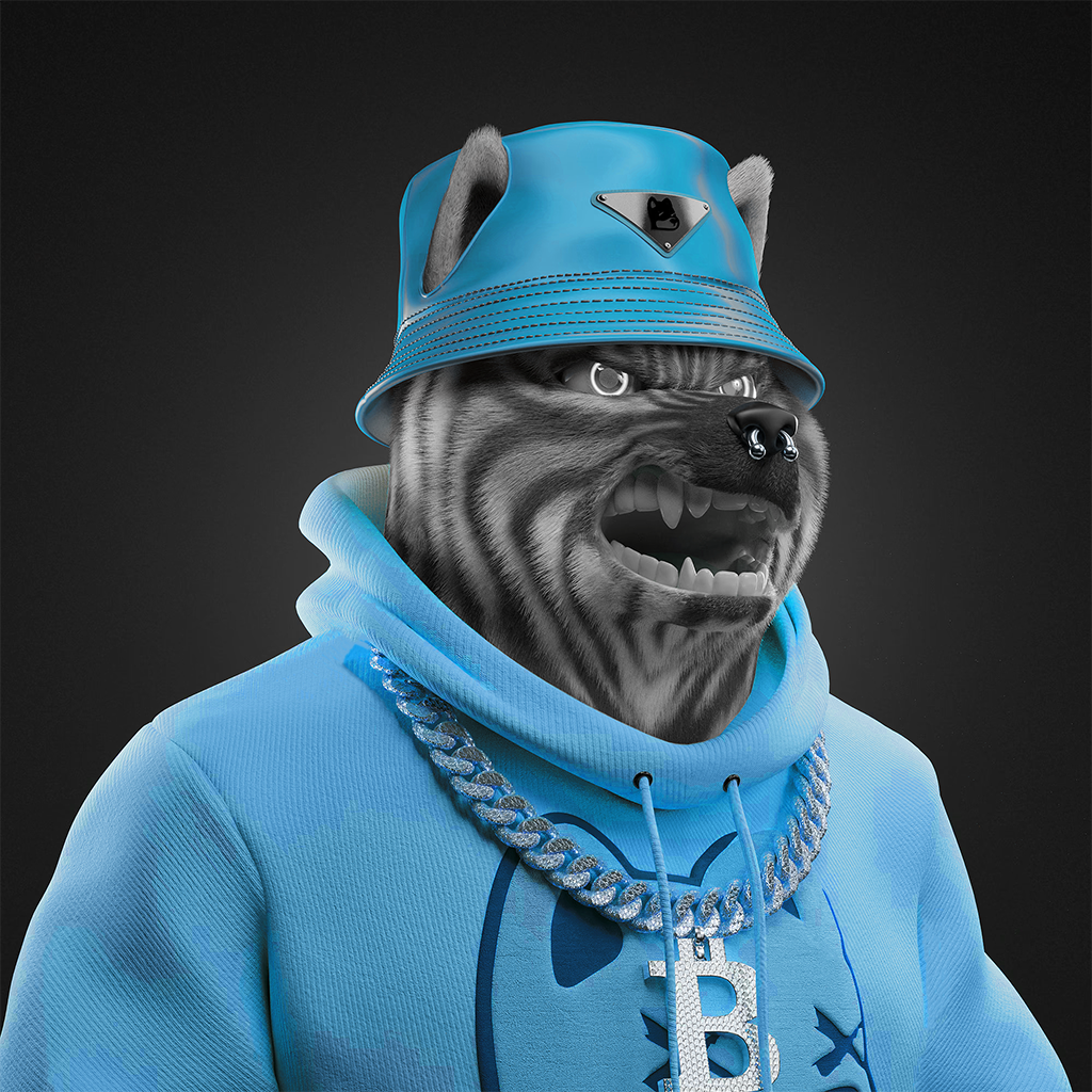Shiba Pinnacle #57