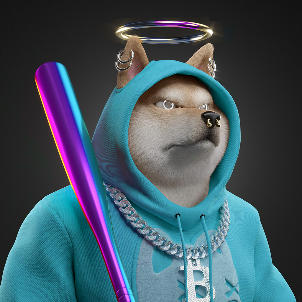 Shiba Pinnacle #60