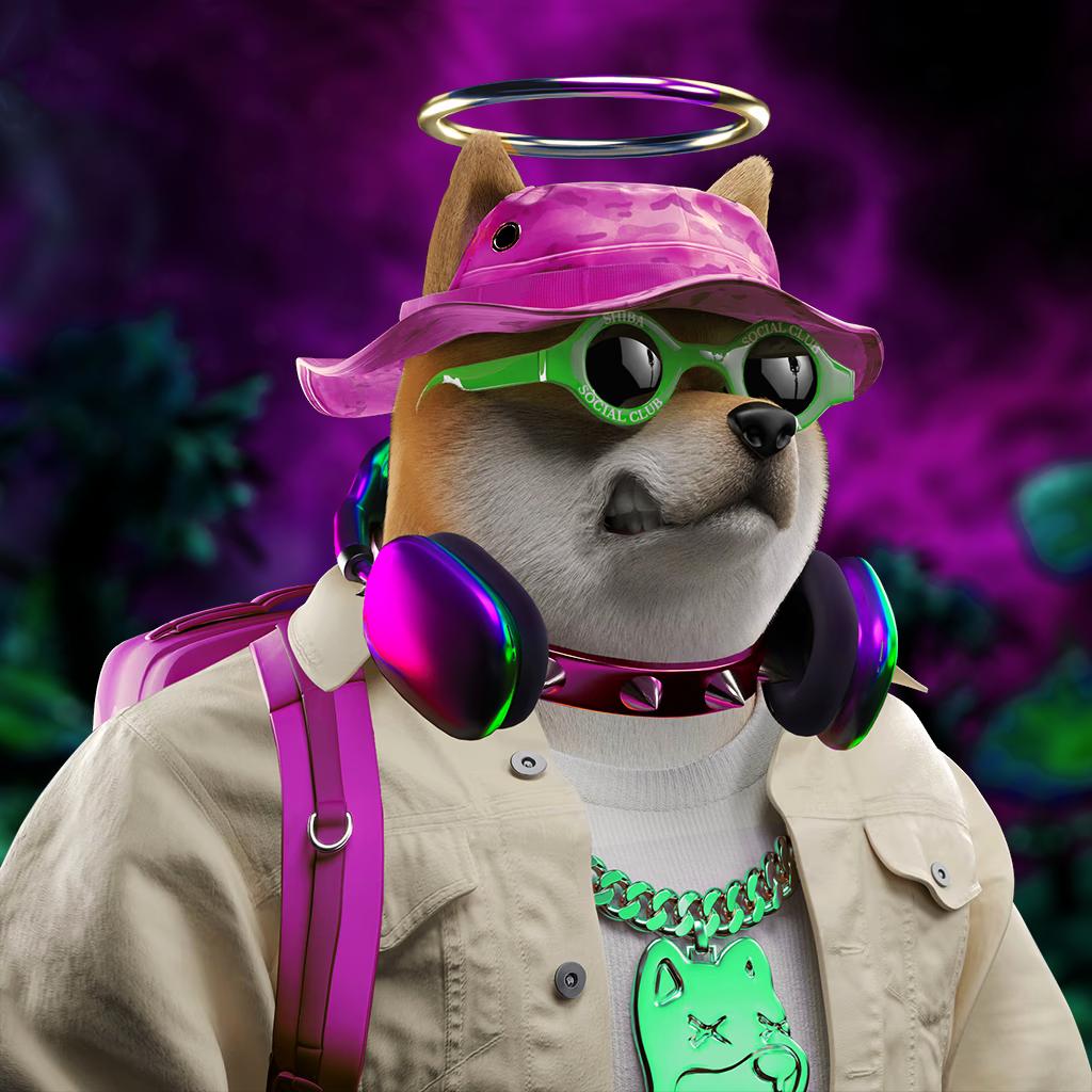 Shiba Pinnacle #62