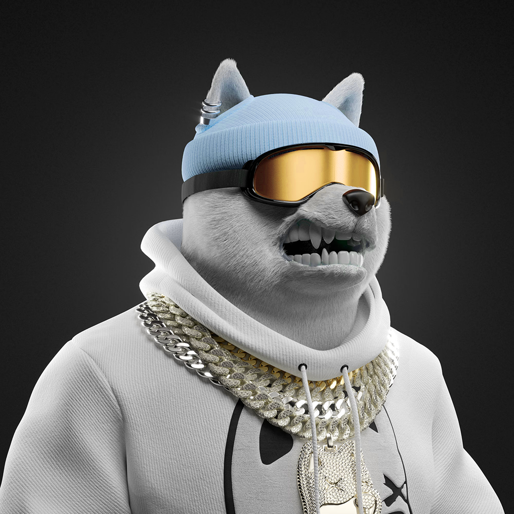 Shiba Pinnacle #64