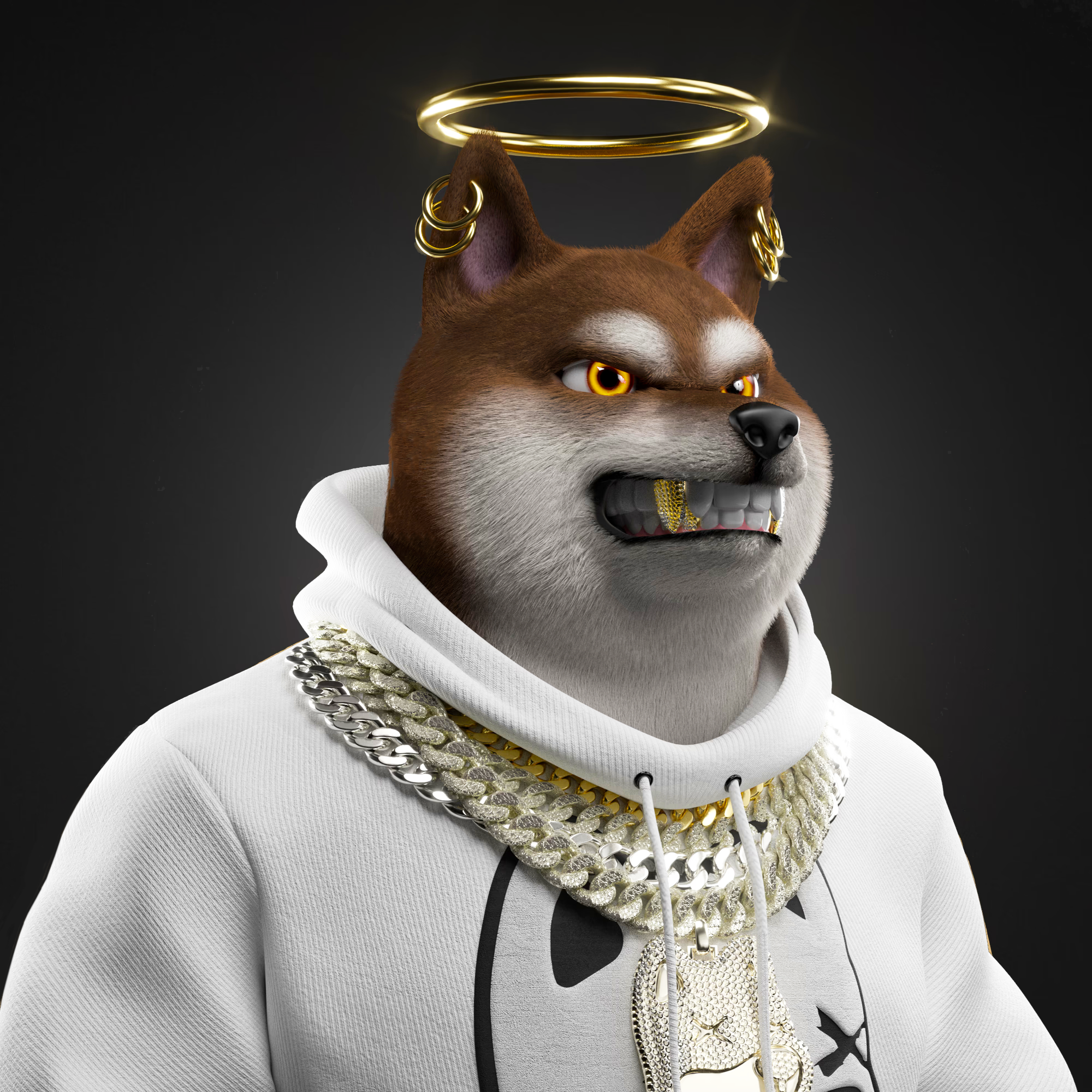 Shiba Pinnacle #65