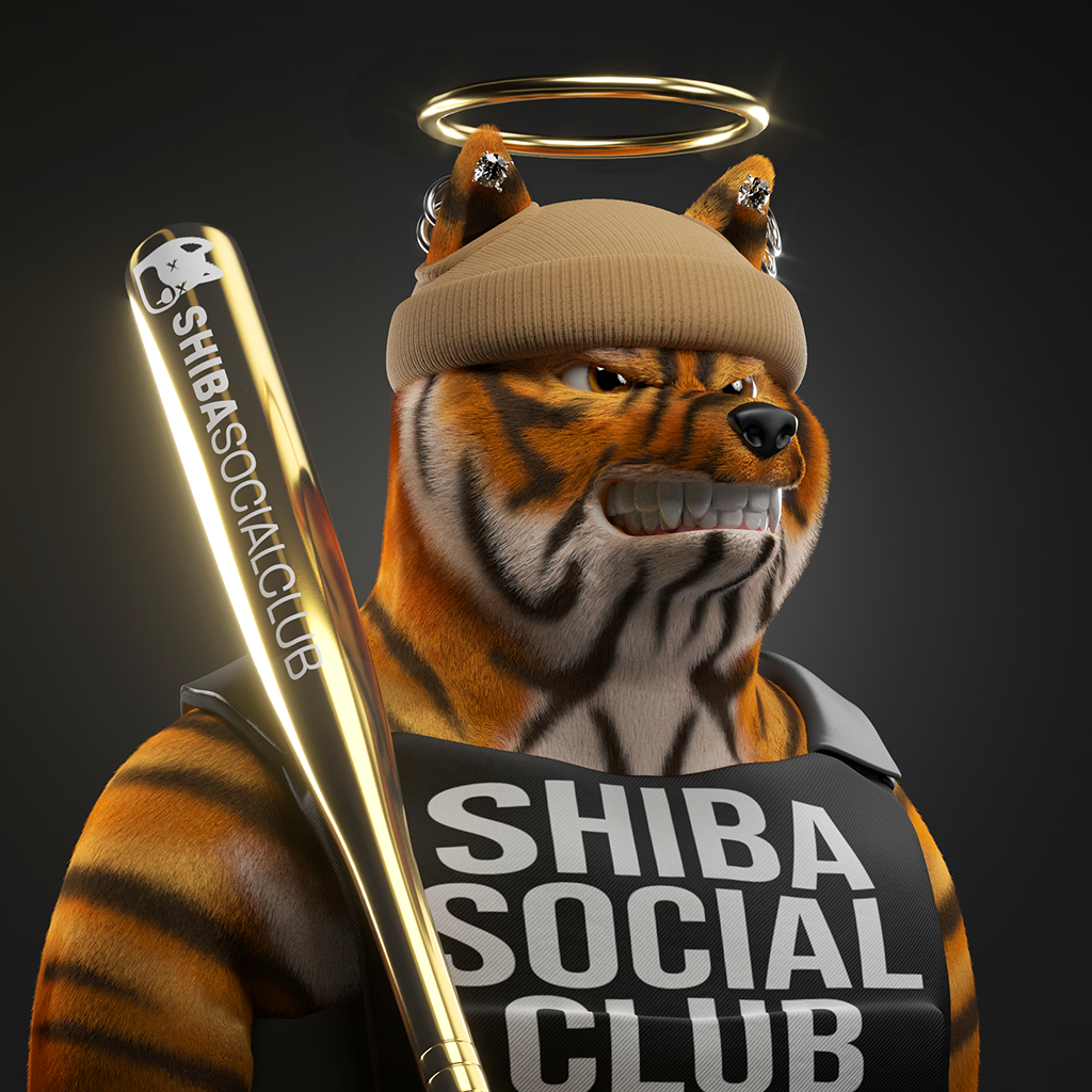 Shiba Pinnacle #66