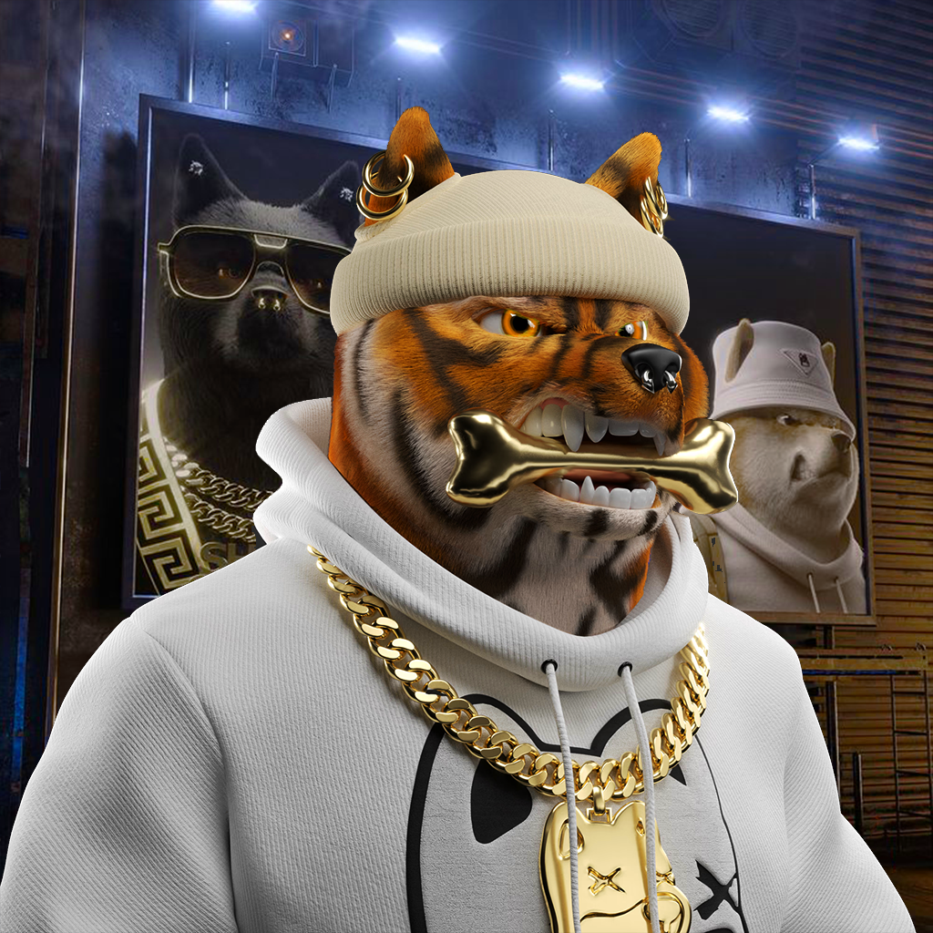 Shiba Pinnacle #67