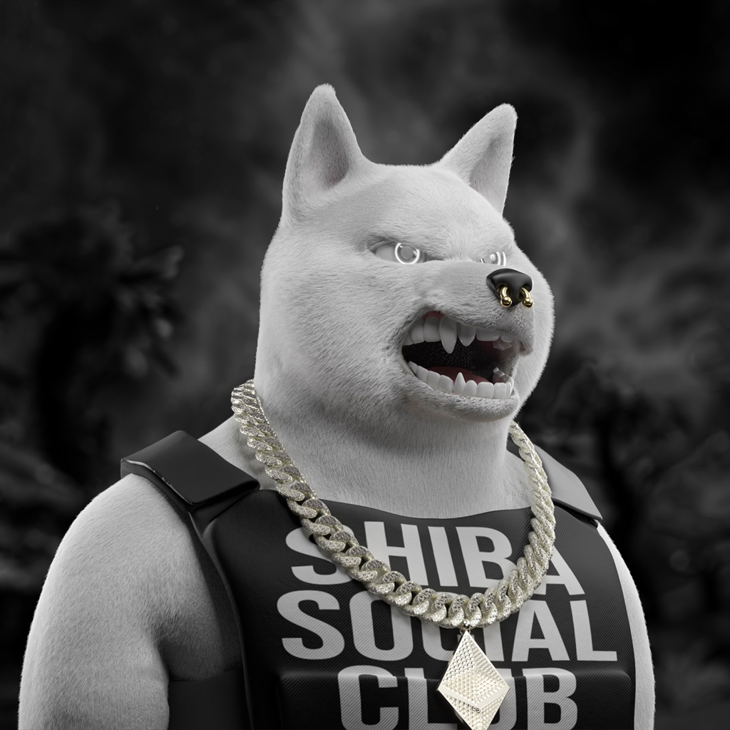 Shiba Pinnacle #100